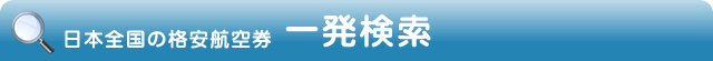 国内格安航空券 一発検索